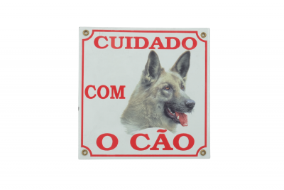 mestras migrantes cuidado com o cao