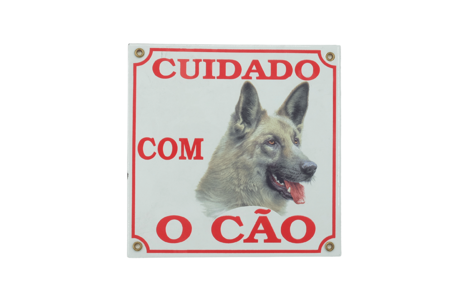 mestras migrantes cuidado com o cao