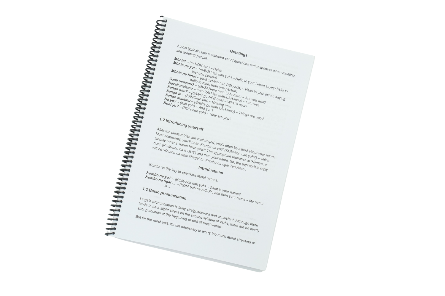 en diferido cuaderno traducciones objeto